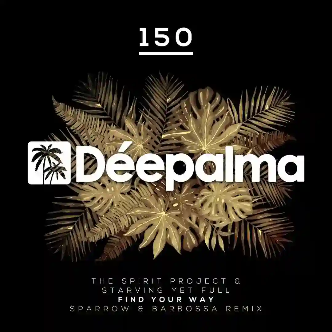 Find Your Way (Sparrow & Barbossa Extended Remix) cover