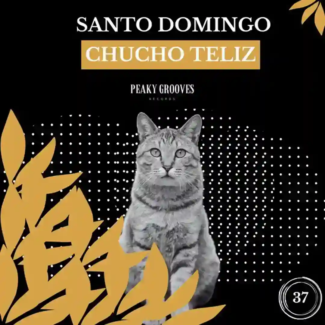 Santo Domingo (Original Mix) cover