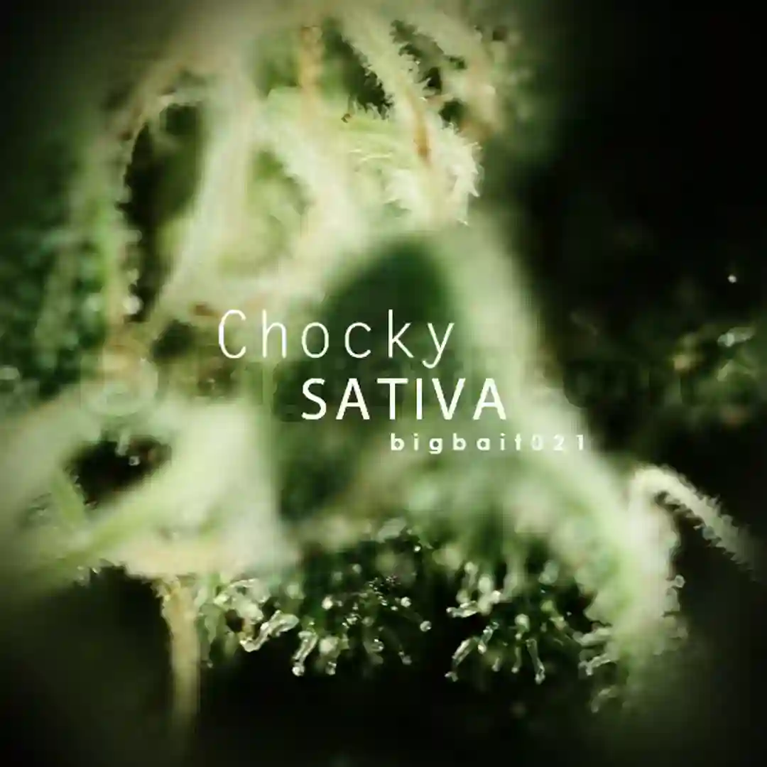 That's Right (Original mix) cover