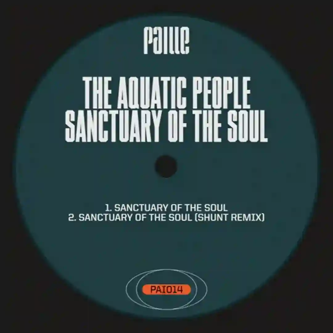 Sanctuary Of The Soul (Original Mix) cover