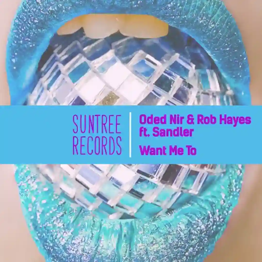 Want Me To (Instrumental Mix) cover