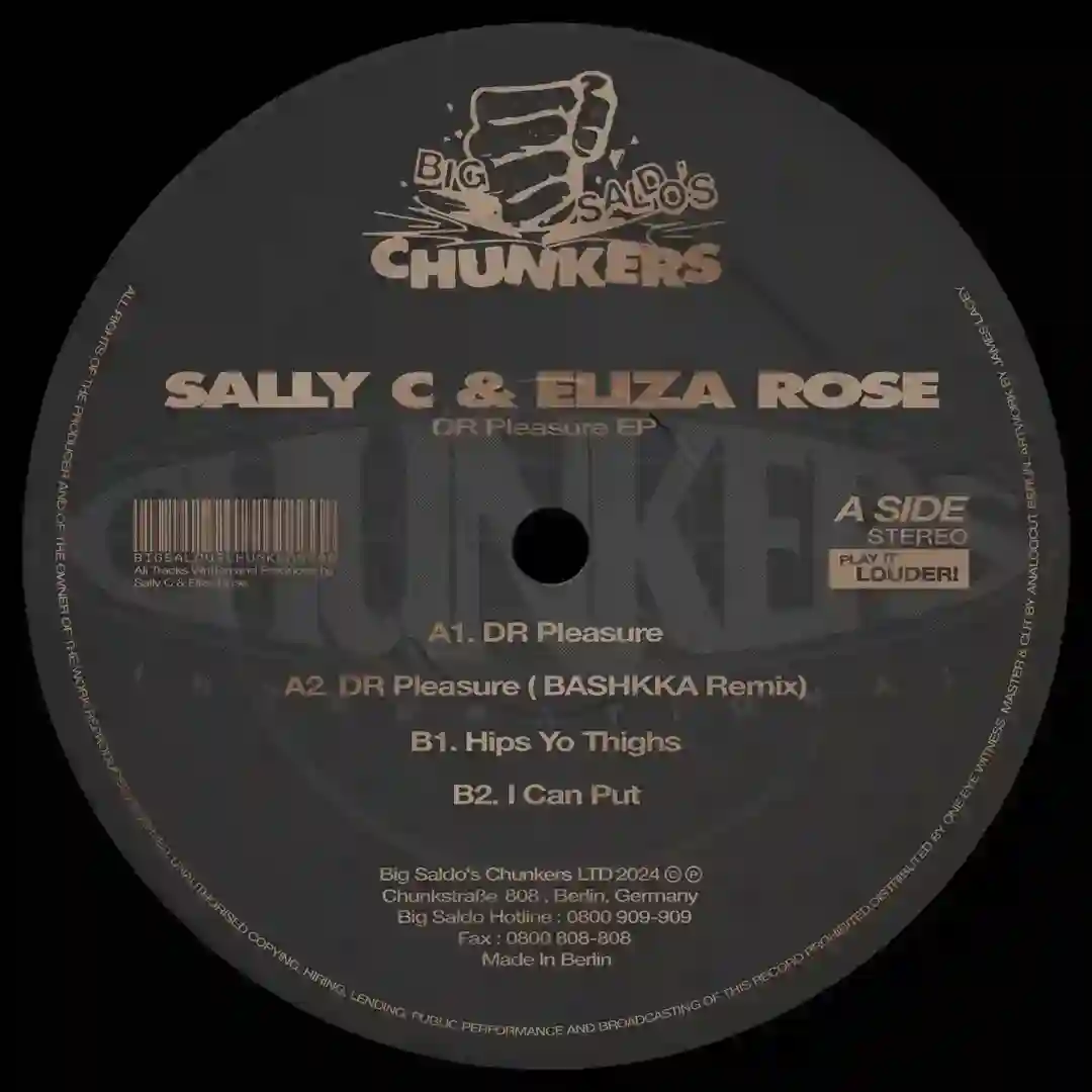 DR Pleasure (BASHKKA Remix) cover