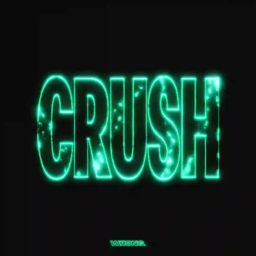 Crush (Selena Faider Extended Remix) cover