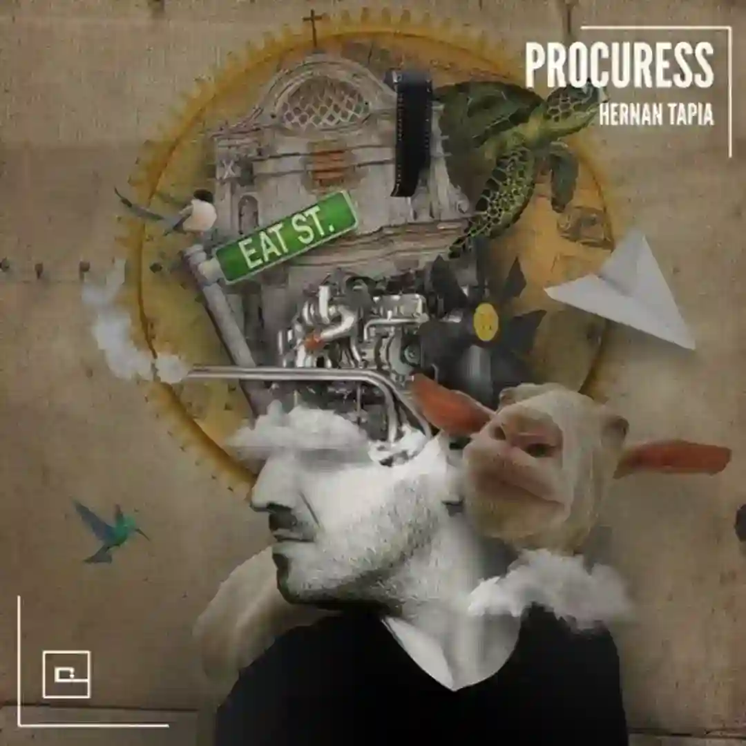Procuress (Original Mix) cover
