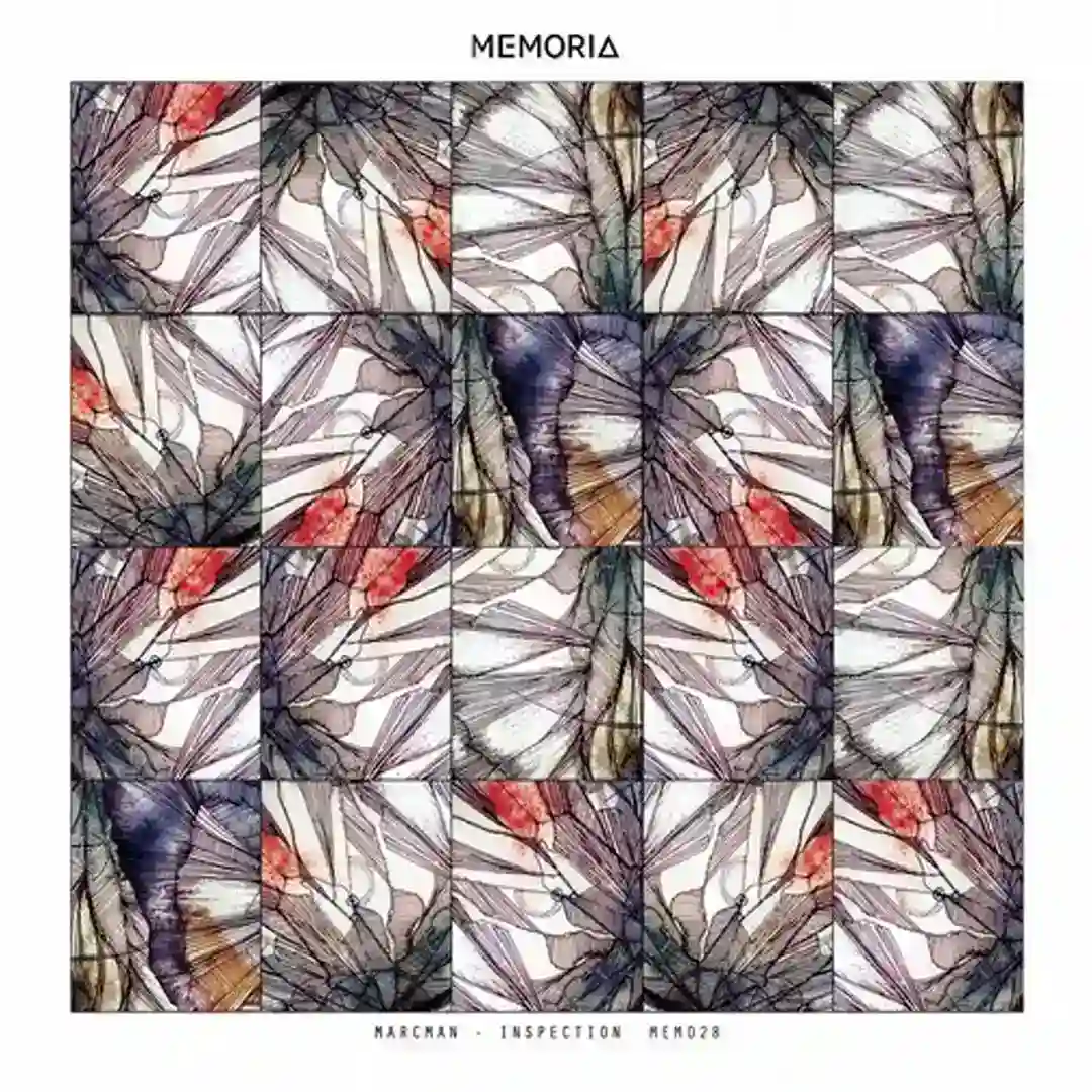 Inspection (Original Mix) cover
