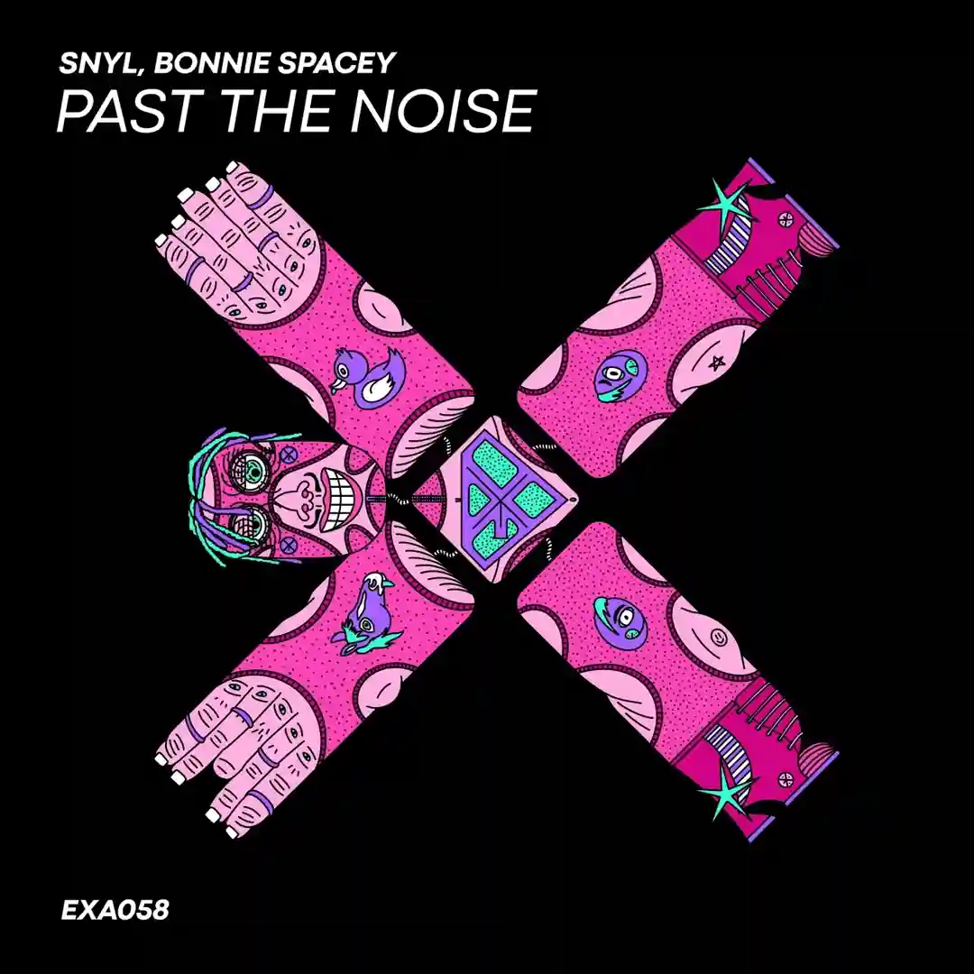 Past the Noise cover