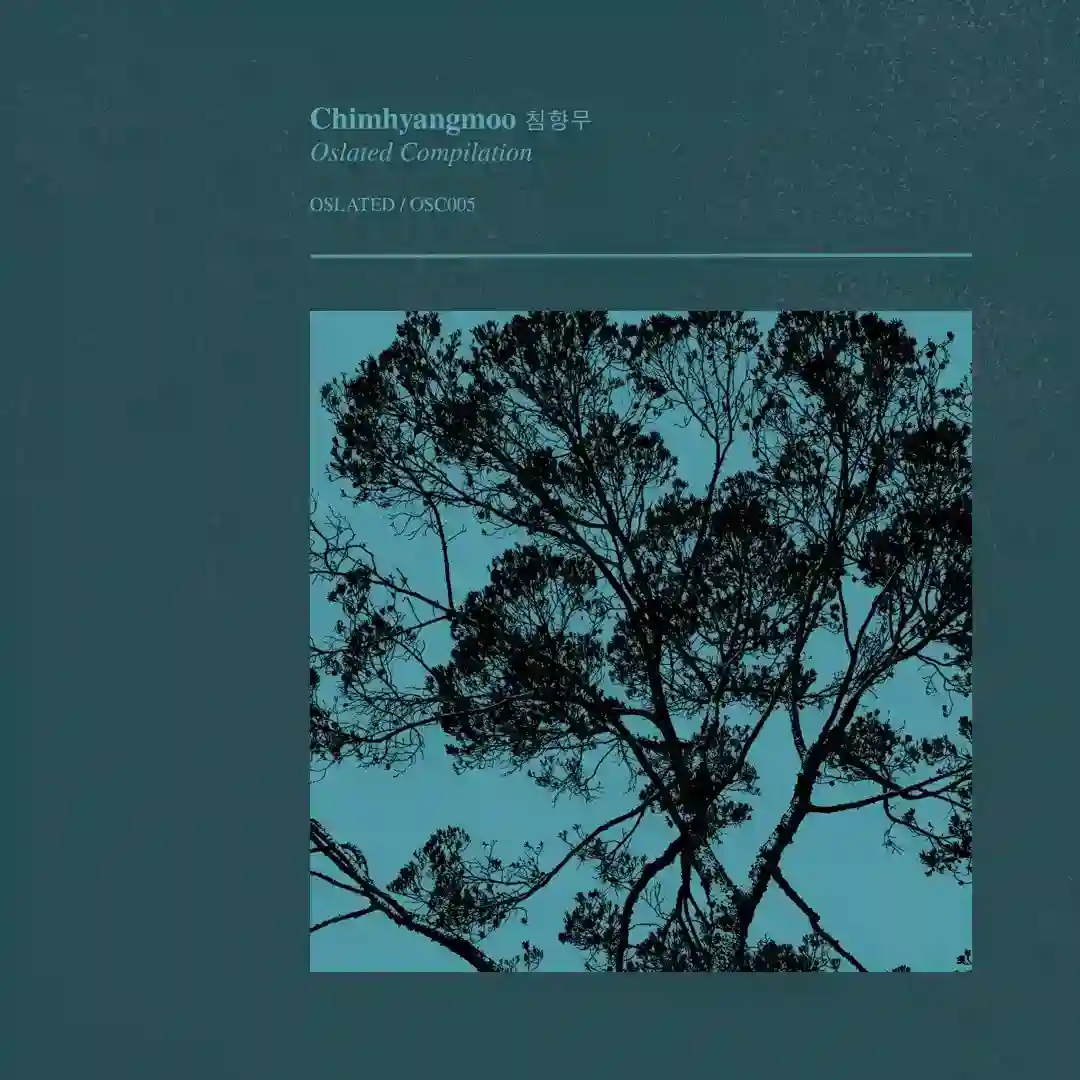 Pattern Of Wounds cover