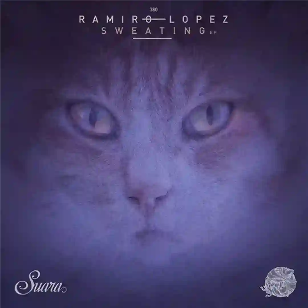 Universe (Original Mix) cover