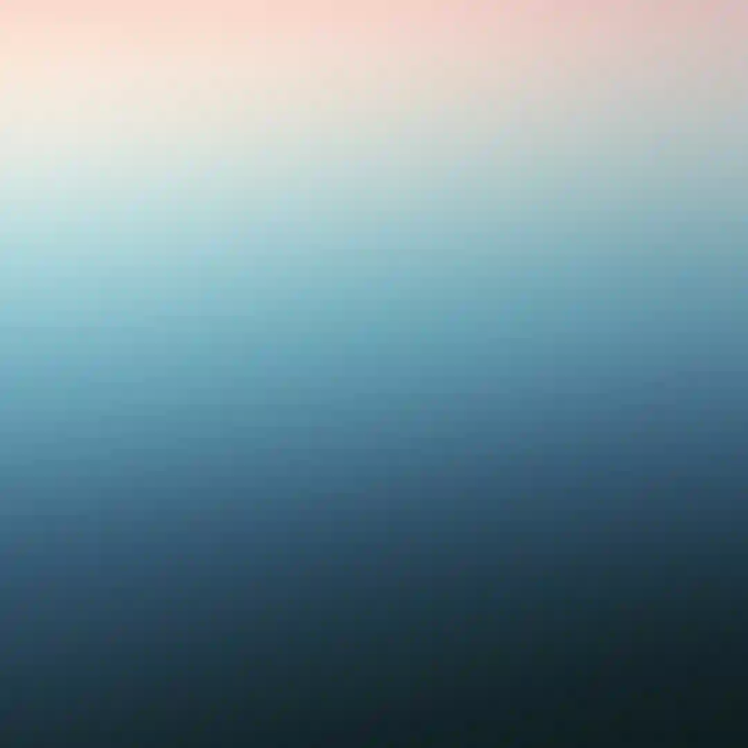 Small Bird cover