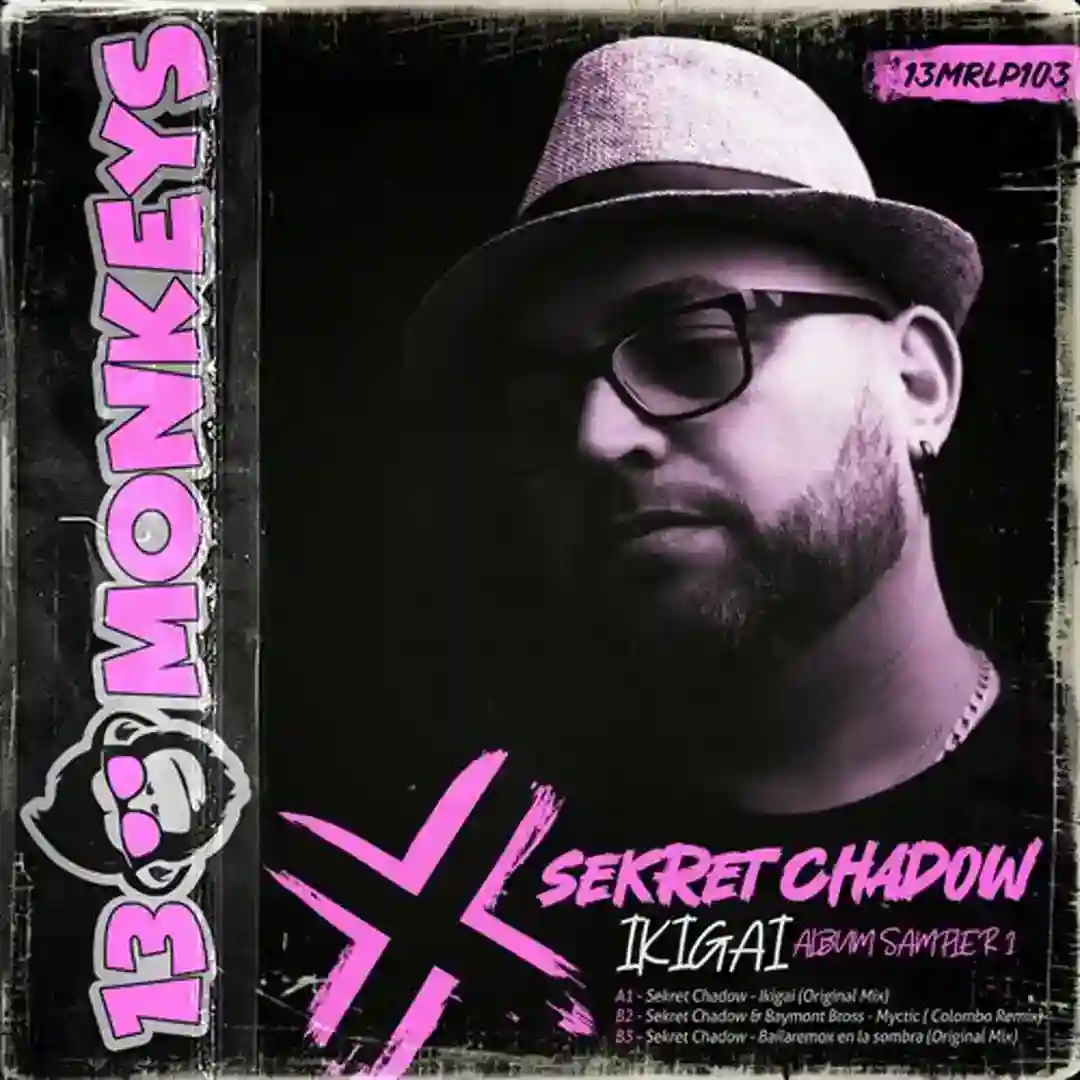 Bailaremos En La Sombra (Original Mix) cover