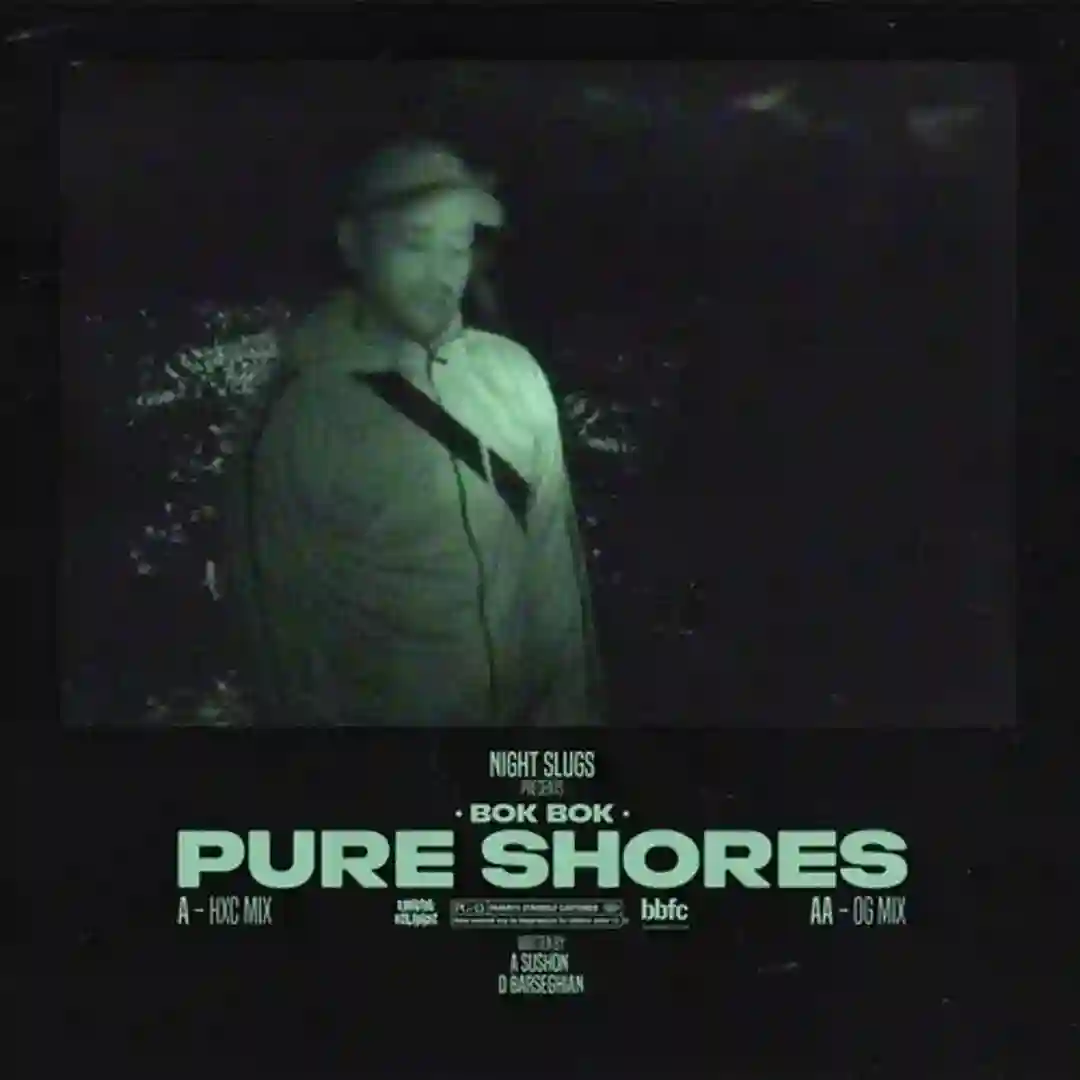 Pure Shores (OG Mix) cover