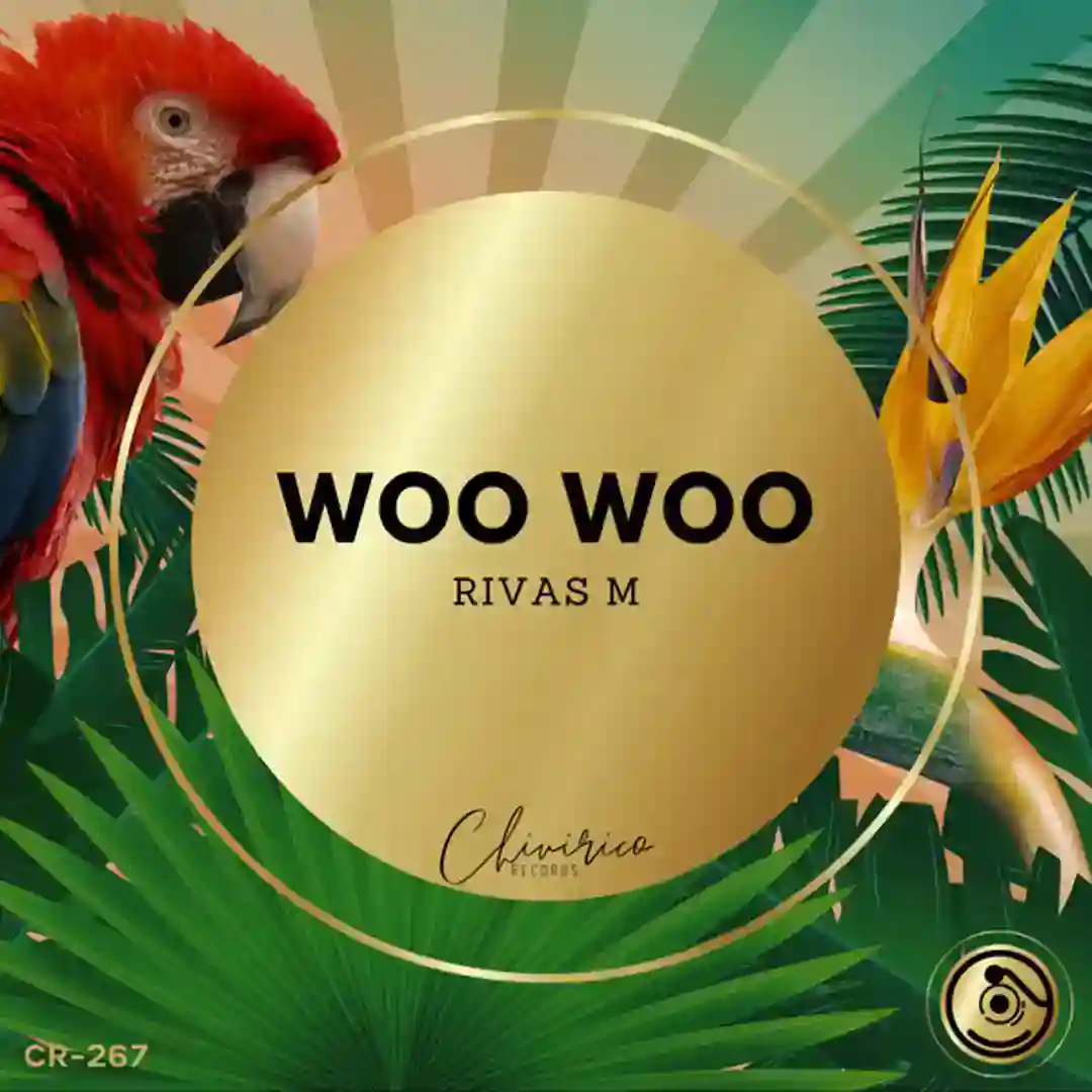 Woo Woo (Original Mix) cover