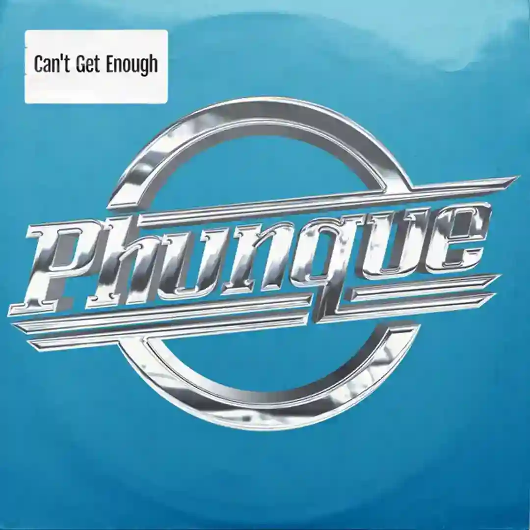Can't Get Enough (Save The Robots Remix) cover