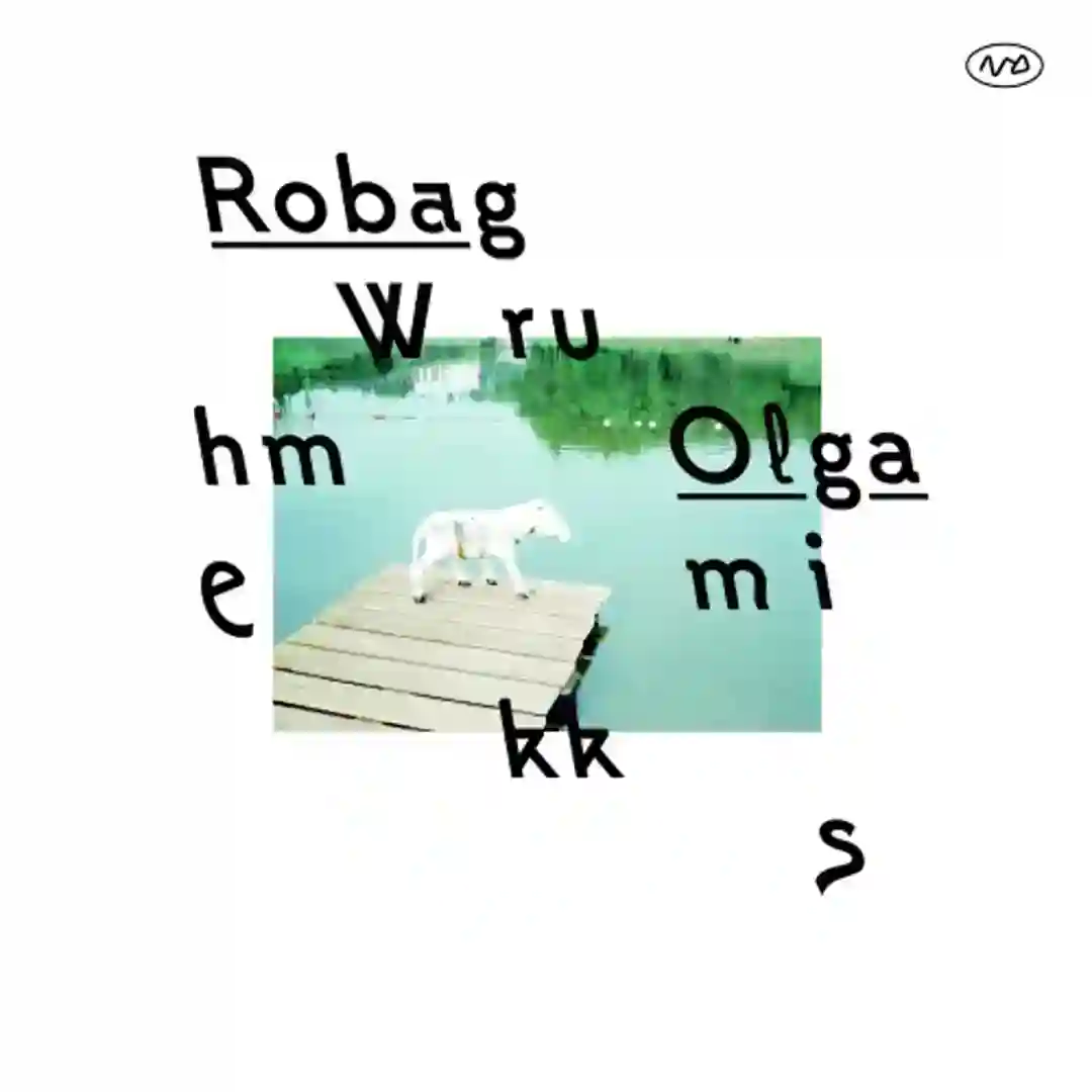 Rejam (Robag's Diplopie Myx Attacke) cover