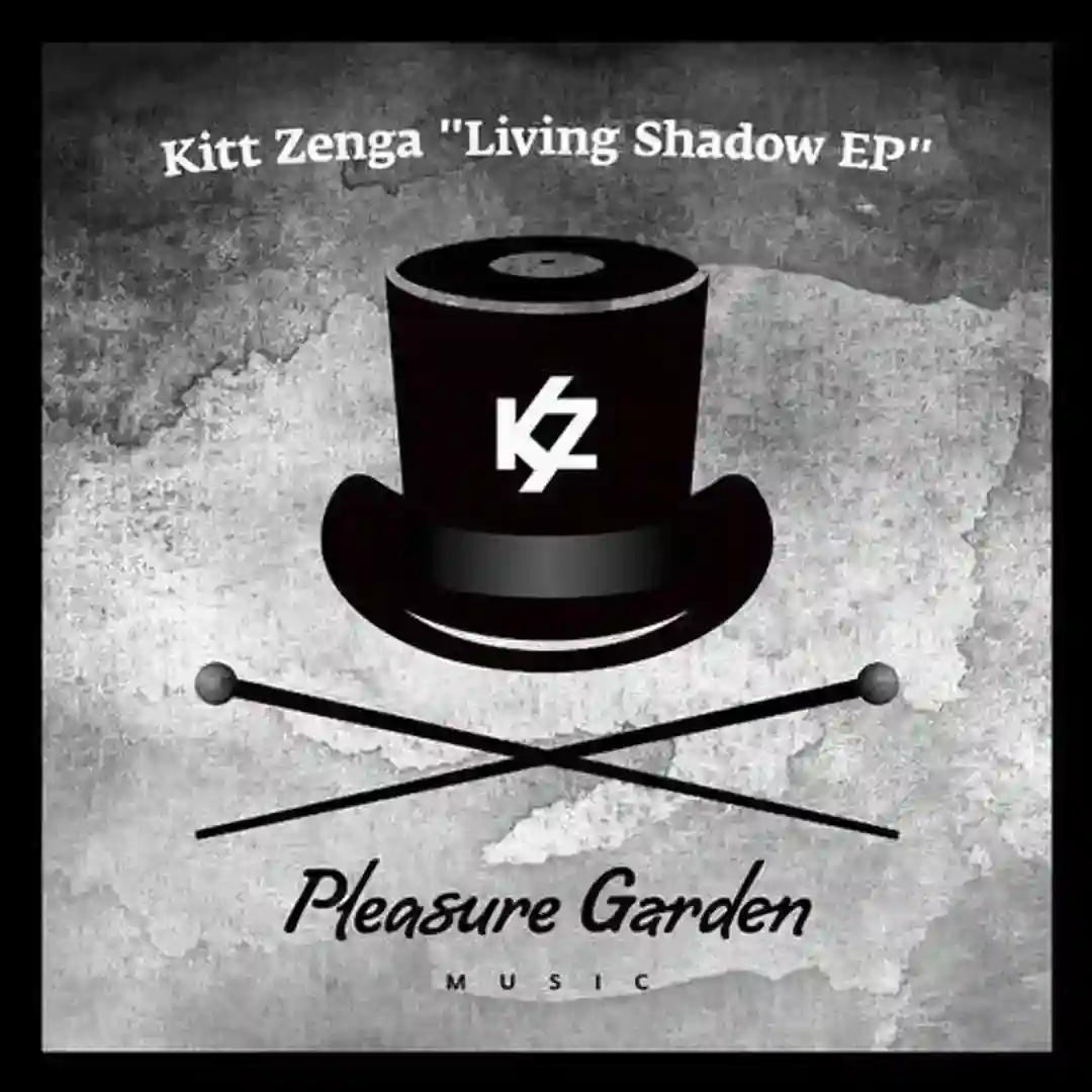 Feng Shui (Original Mix) cover