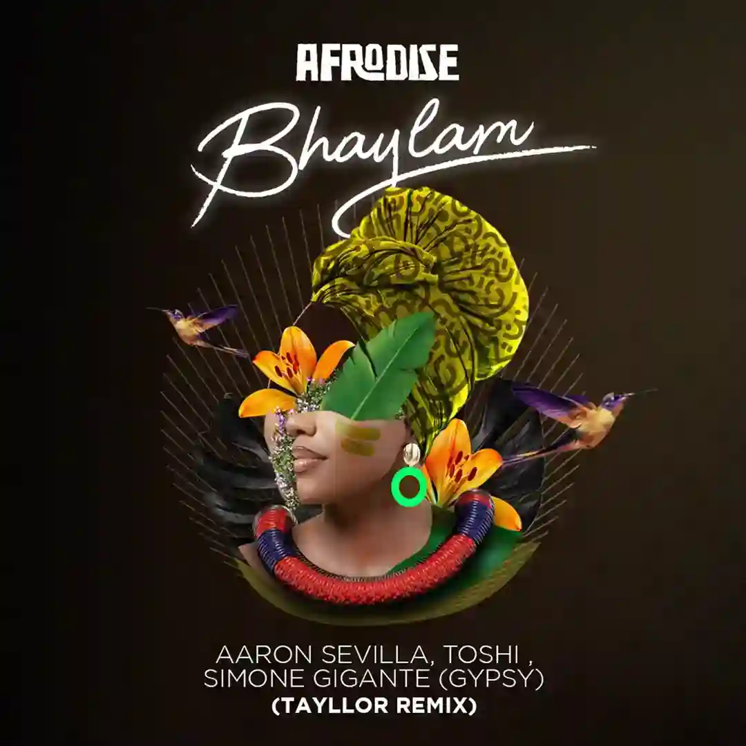 Bhaylam (Tayllor Remix) cover