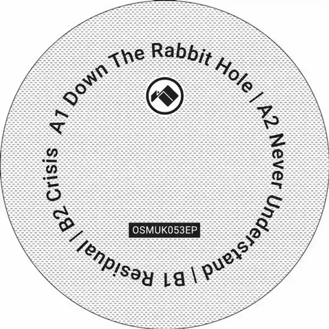 Down the Rabbit Hole (Original Mix) cover