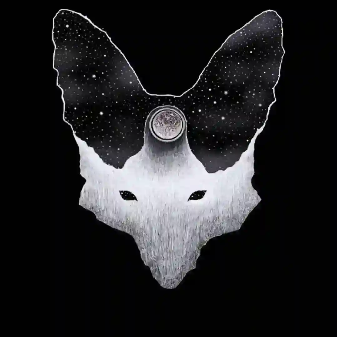 Somber Clarity cover