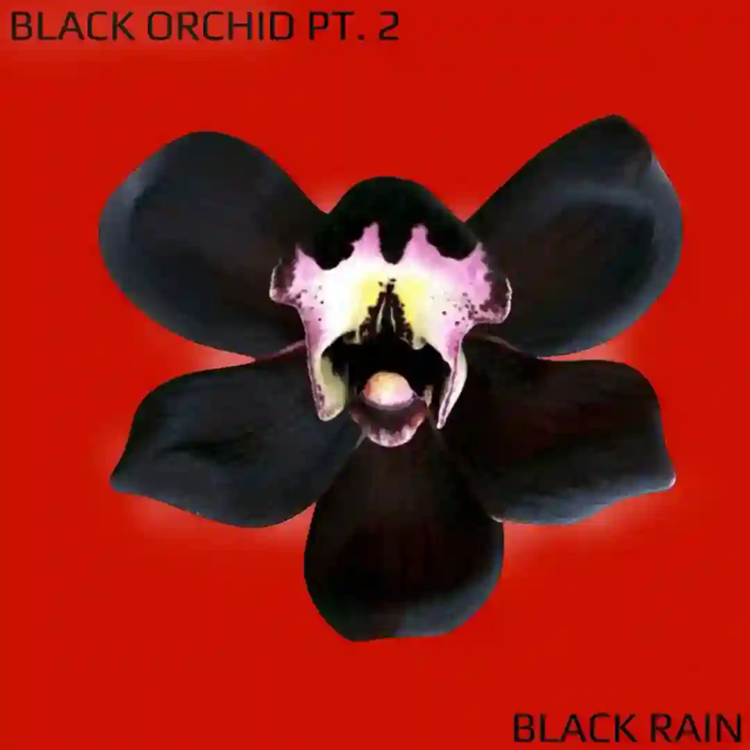 Black Orchid Pt. 2 cover