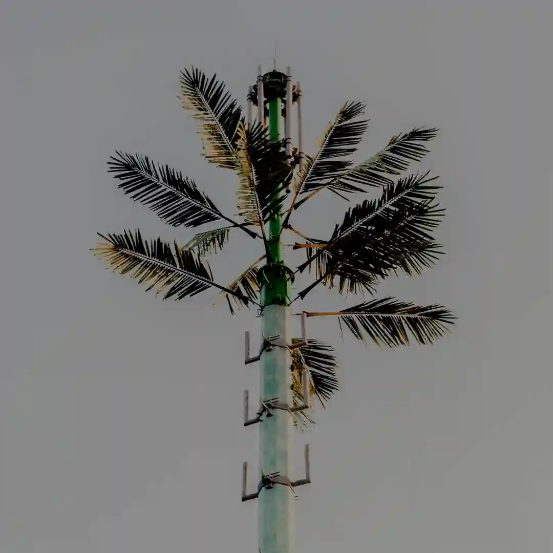 Apnoe cover
