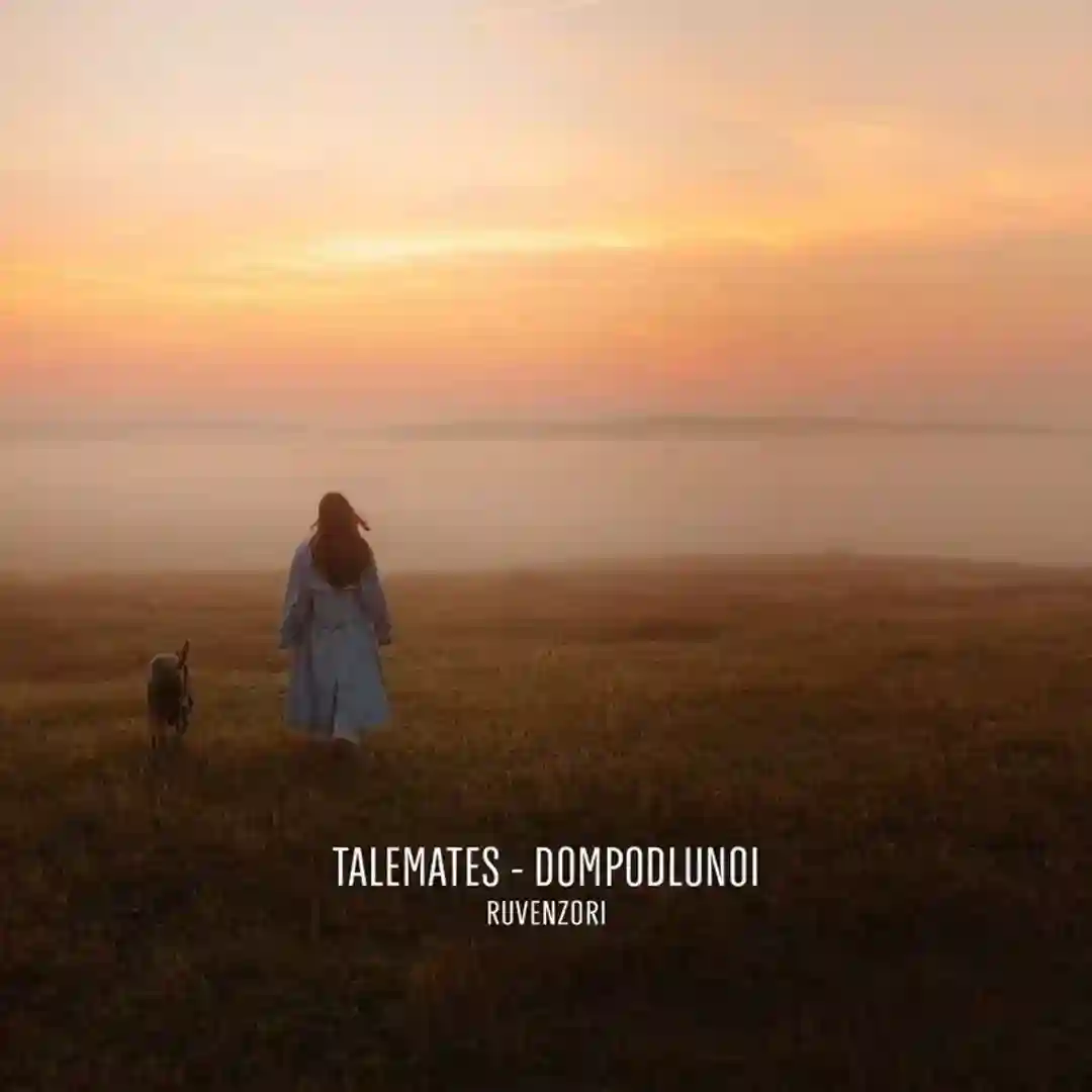 Dompodlunoi cover