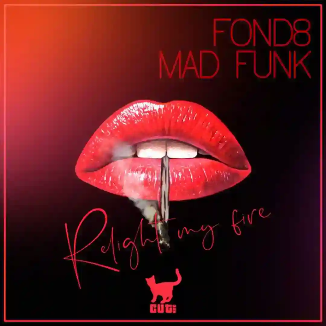 Relight My Fire cover