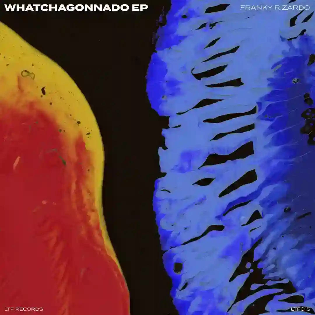 Whatchagonnado (Original Mix) cover