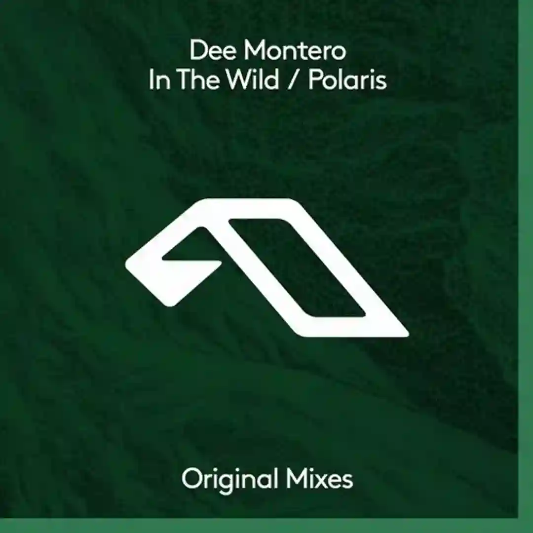 In The Wild feat. Meliha (Original Mix) cover