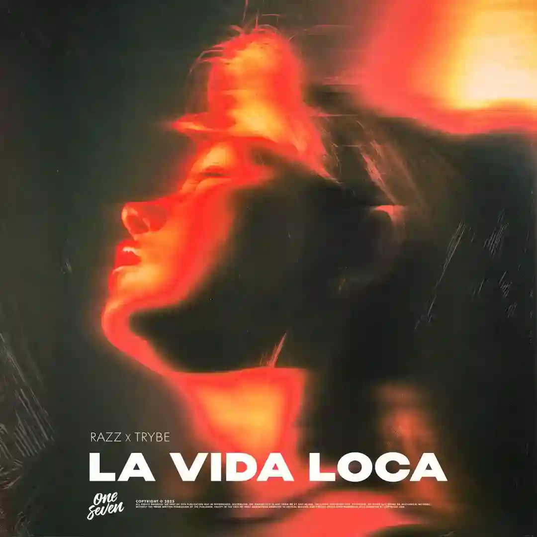 La Vida Loca (Extended Mix) cover