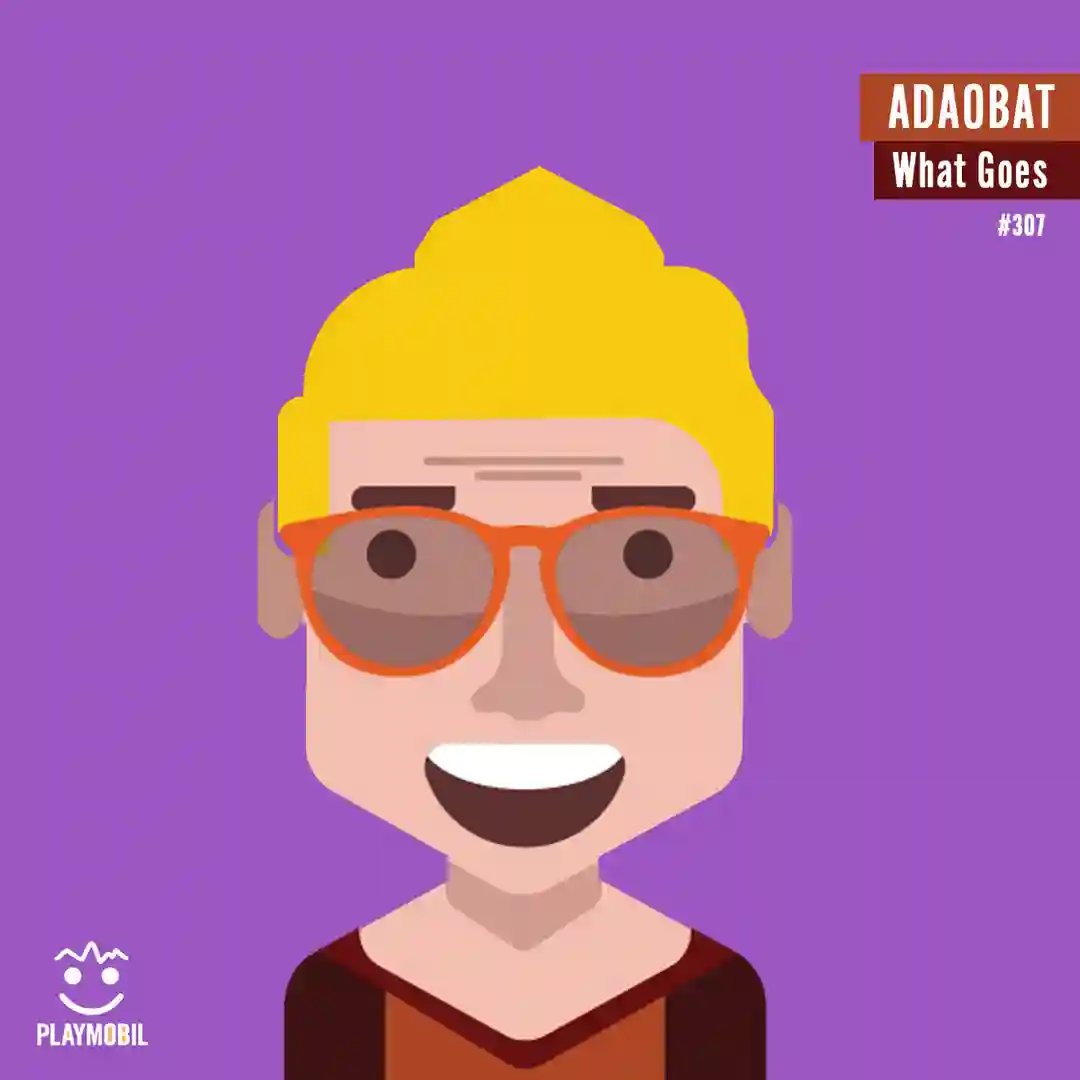 What Goes cover
