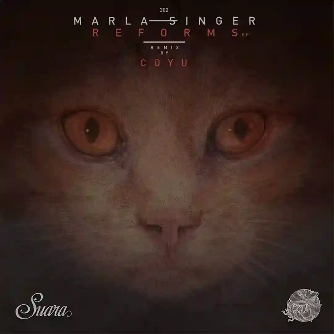 Transient (Coyu Raw Mix) cover