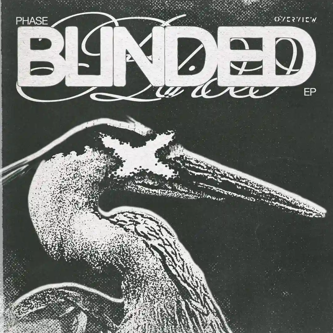 Need This Shot (Original Mix) cover