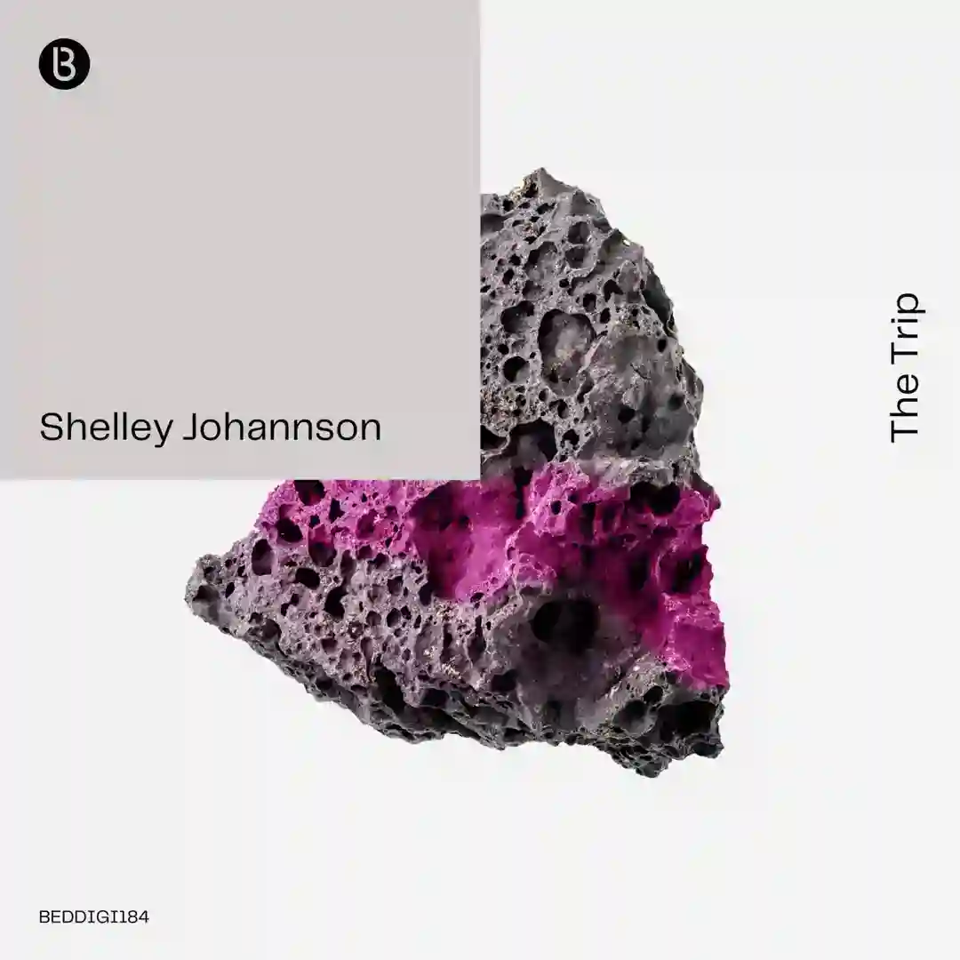 The Trip cover