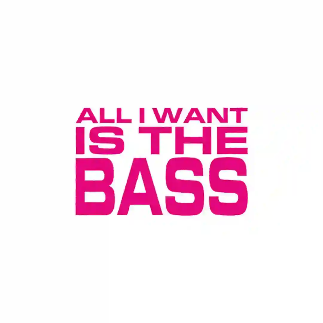 All I Want Is The Bass cover