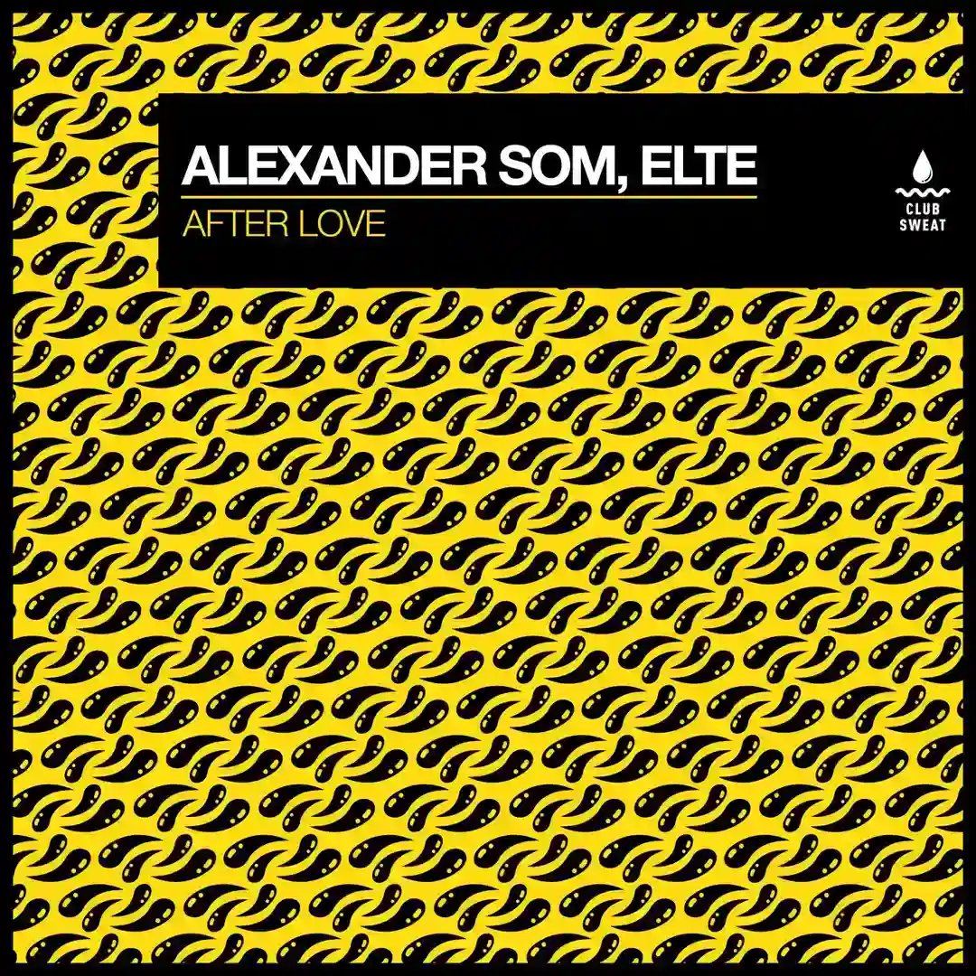 After Love (Extended Mix) cover