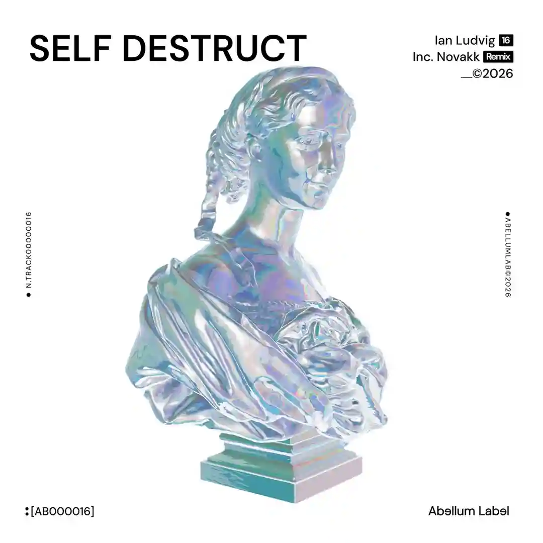 Self Destruct (Novakk Remix) cover
