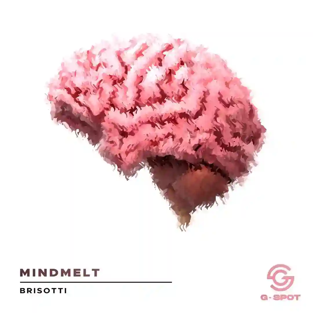 Mindmelt [4649228595] cover