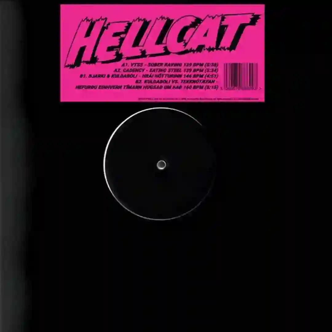 Hefurdu einhvern timann hugsad um thad (Original Mix) cover