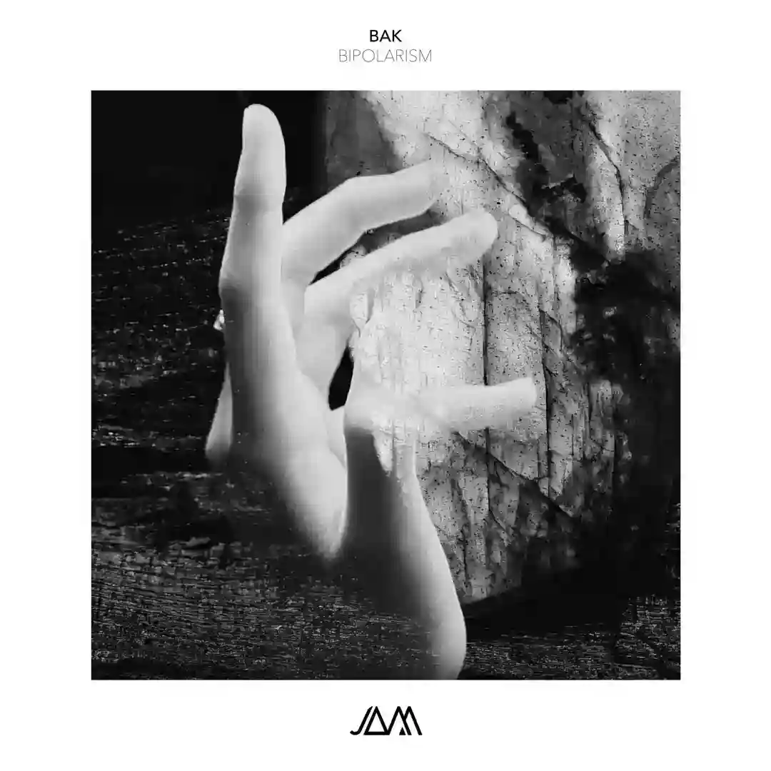 Bipolarism (Original Mix) cover