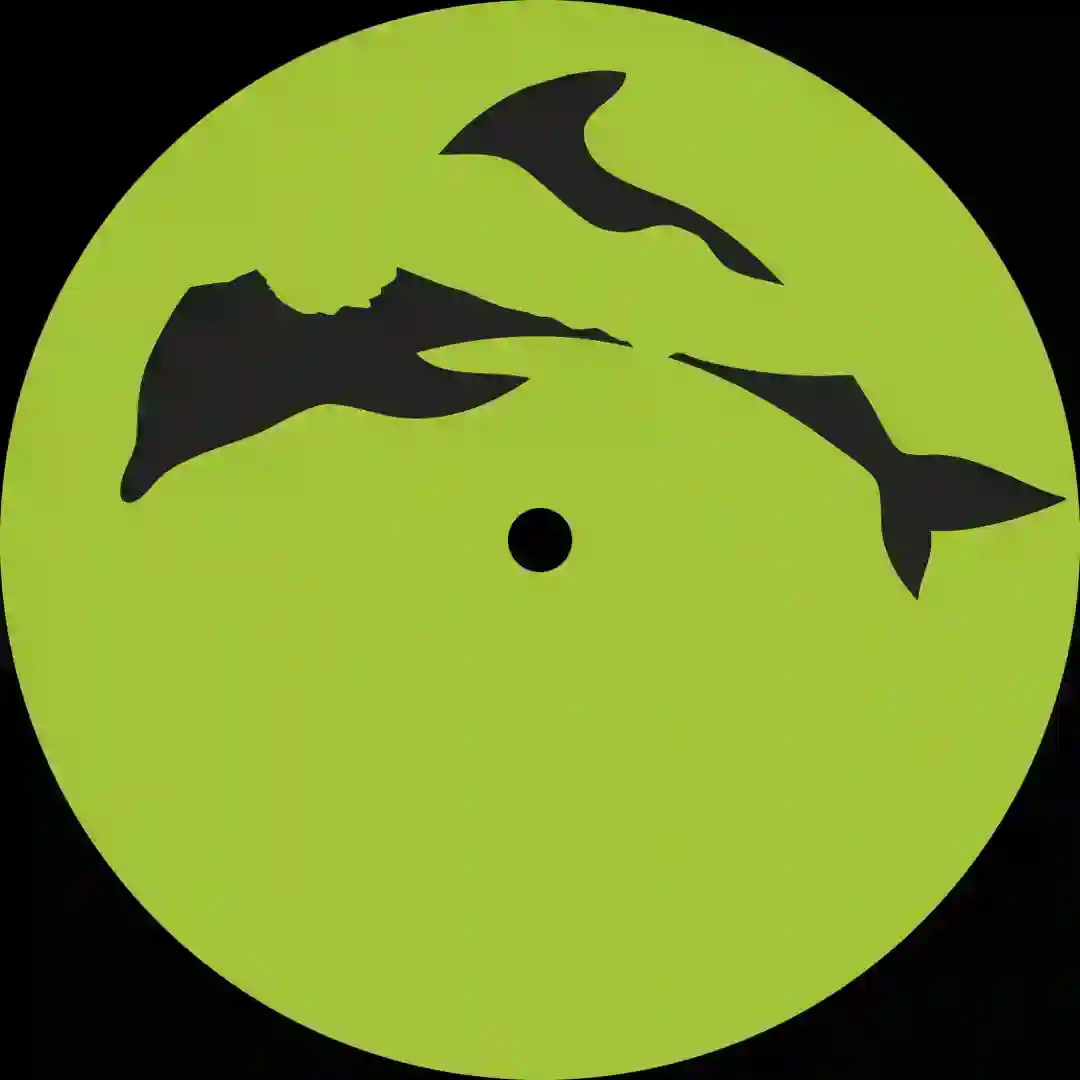 NOYFB cover