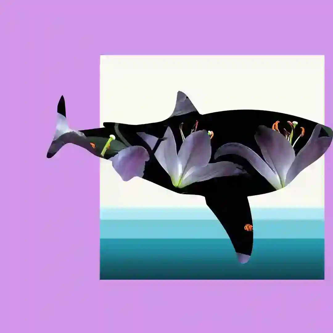 Samokontrola cover