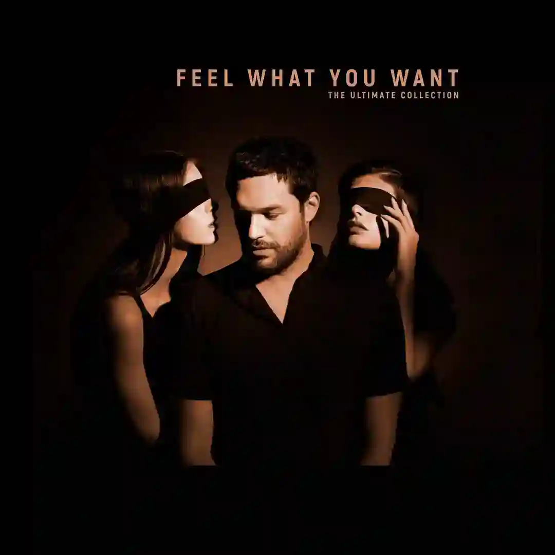 Feel What You Want feat. Rebecca (Original Mix) cover