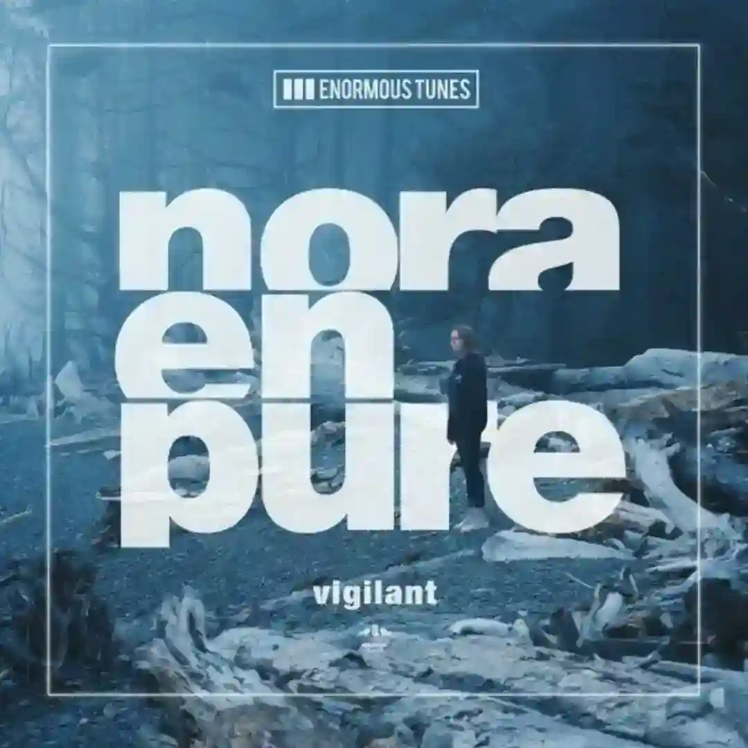 Vigilant cover