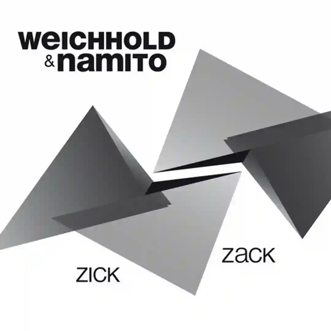 Zick (Original Mix) cover