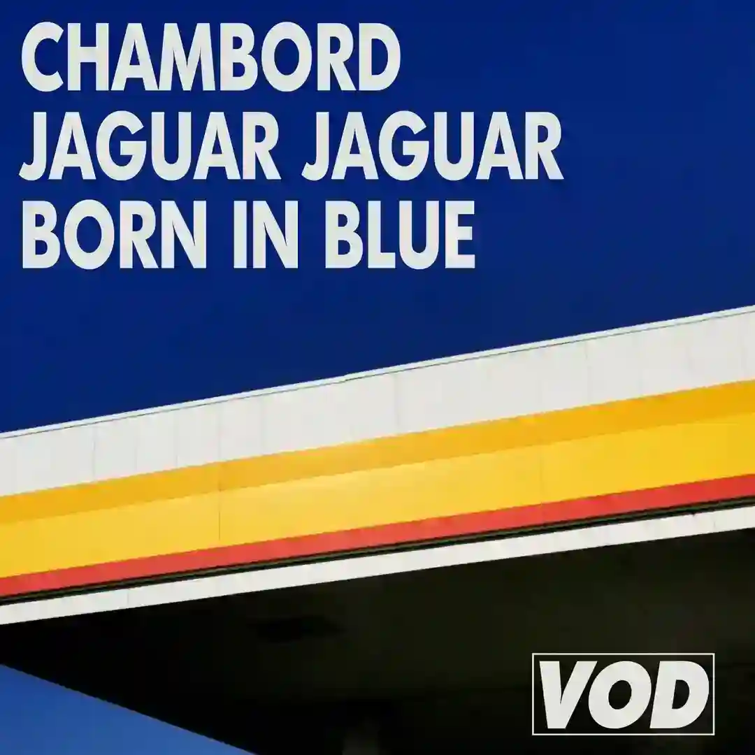 Born In Blue cover