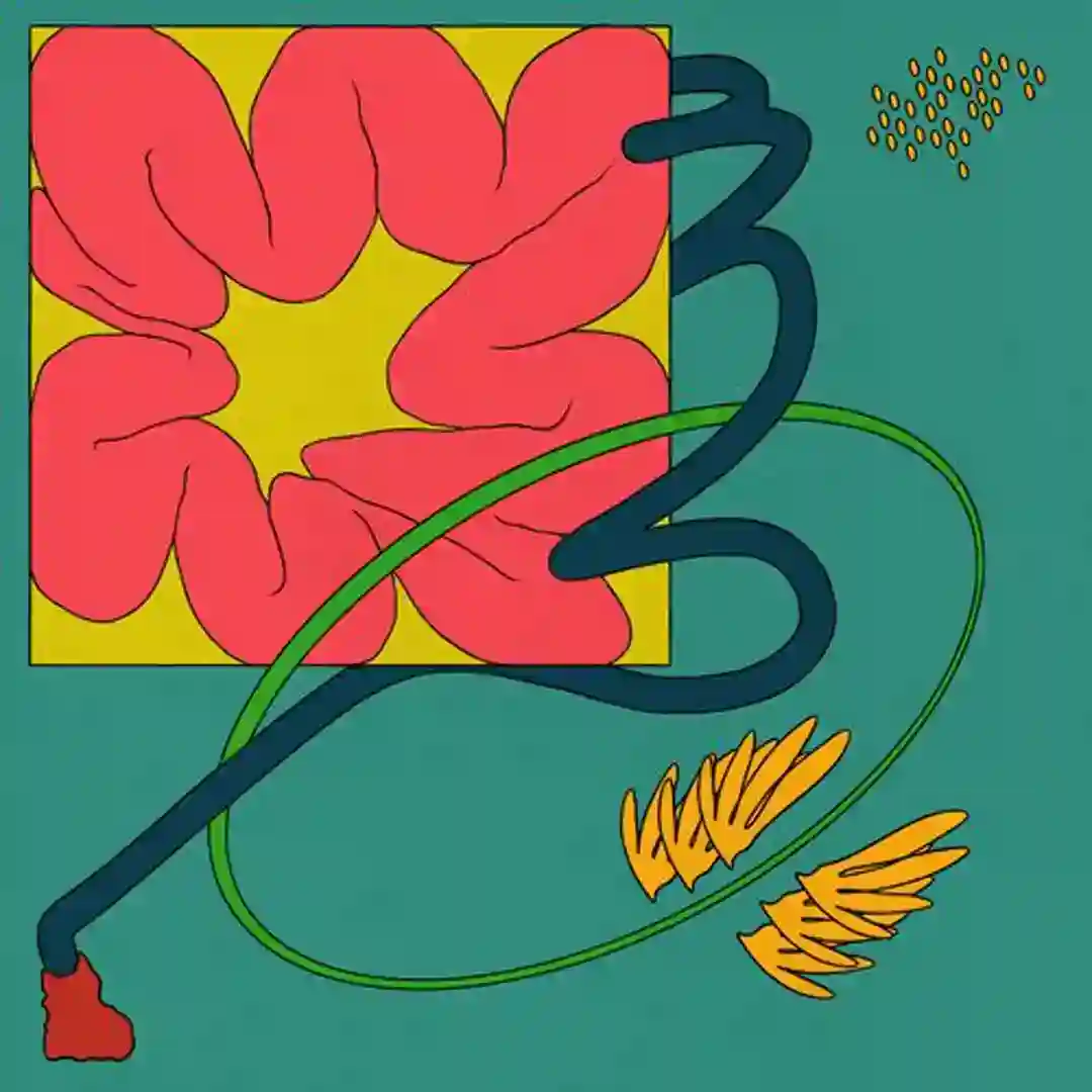 Mekosha cover