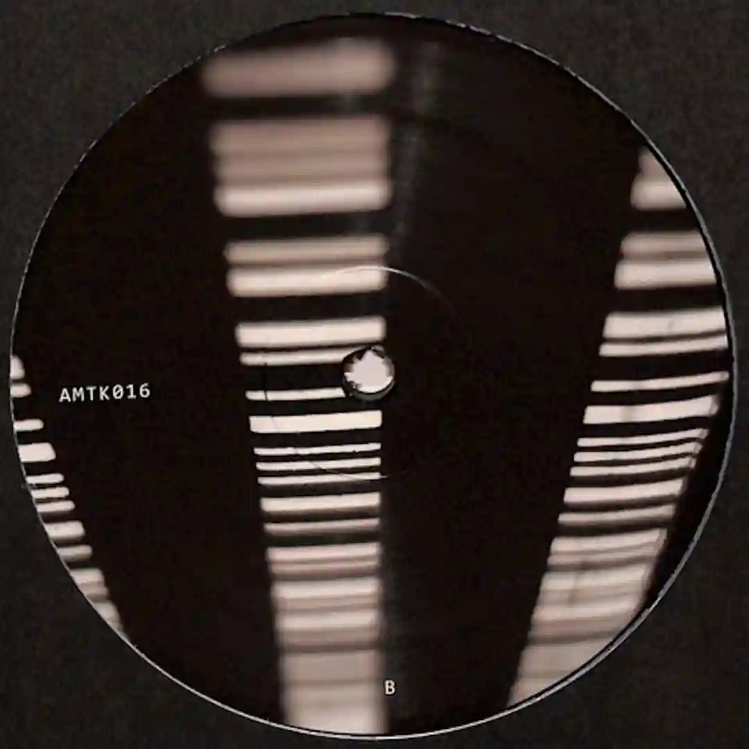 Amotik 016 cover