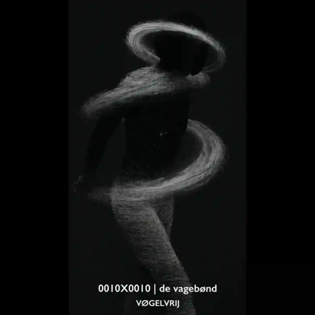 Vøgelvrij (Original Mix) cover