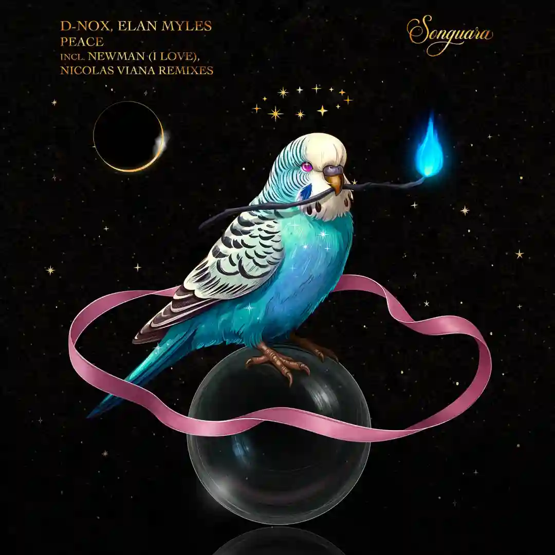 Peace cover