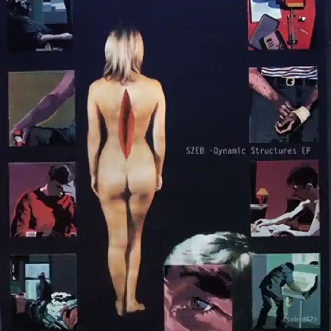 Cenobita cover